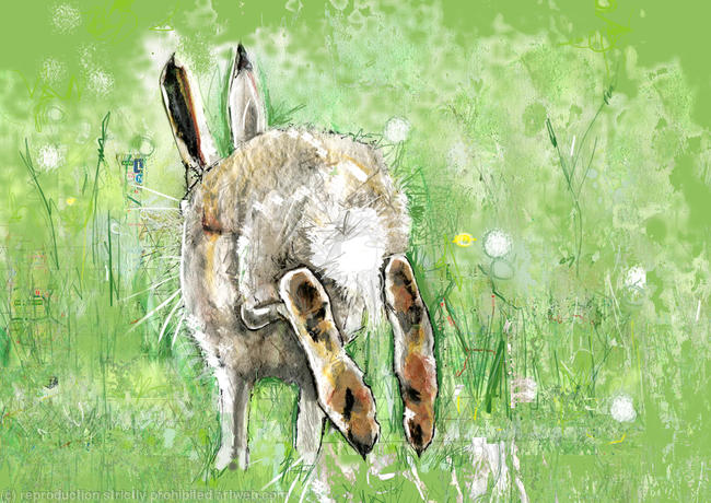 Hopping