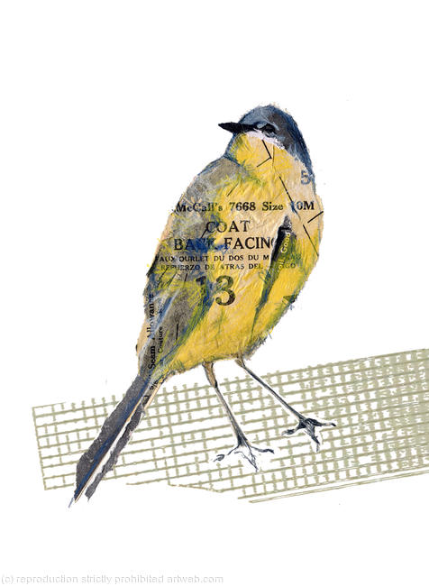 Yellow wagtail