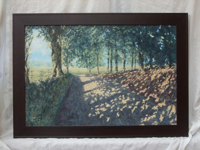 Lane in Shropshire