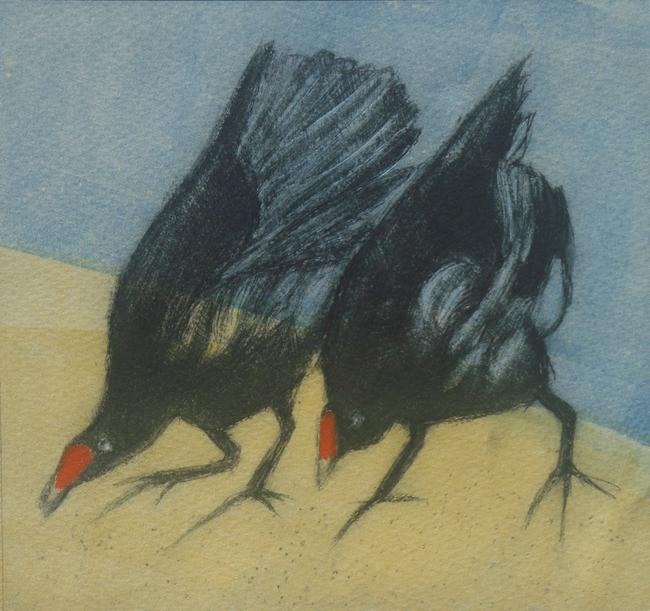 Moorhens by Sarah Cummings