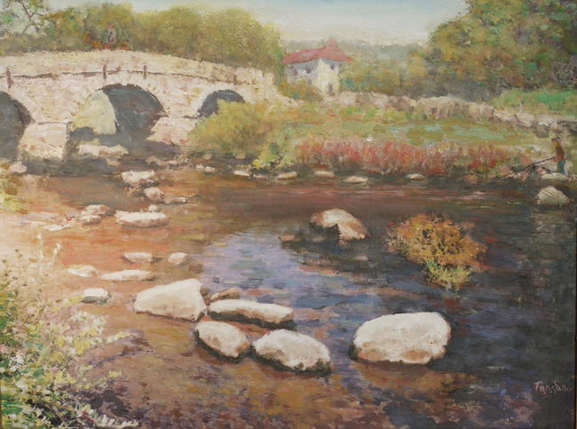river dart twobridges
