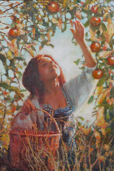 apples autumn collection