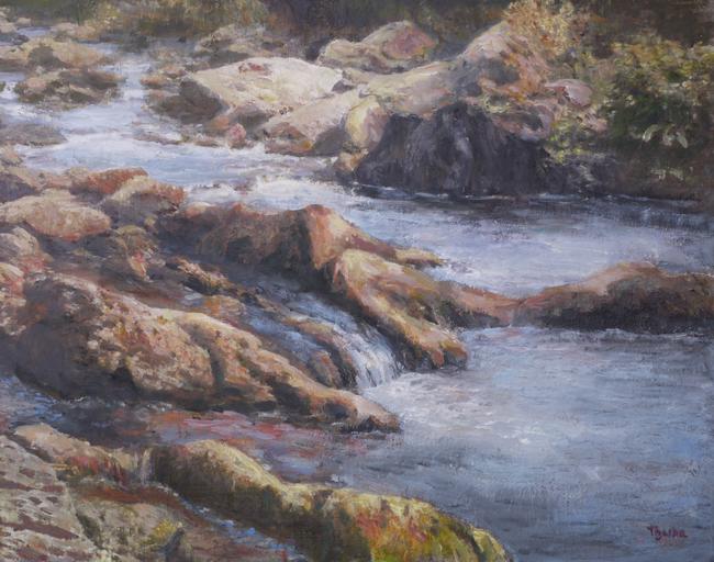 west lyn exmoor