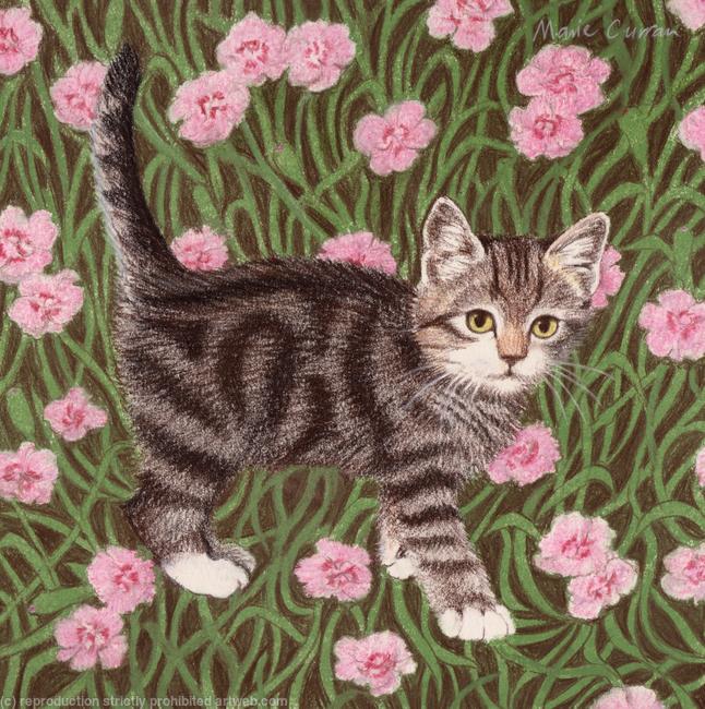 Tabby cat with carnations