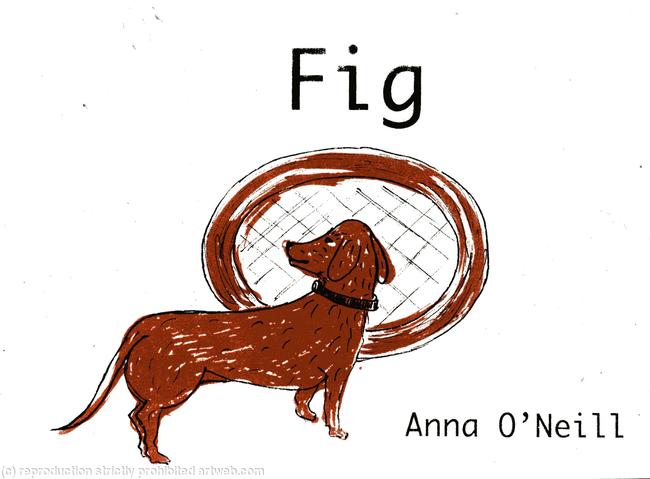 Fig -front cover