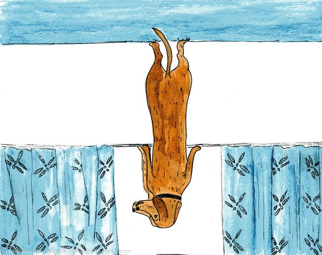 A page from Fig