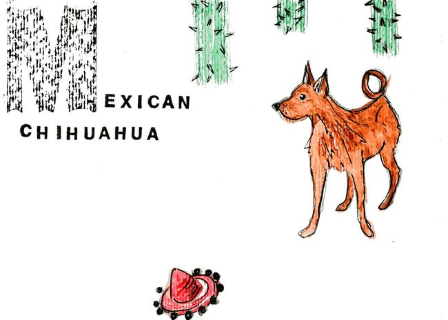 Alphabet of dogs Mexican Chihuahua