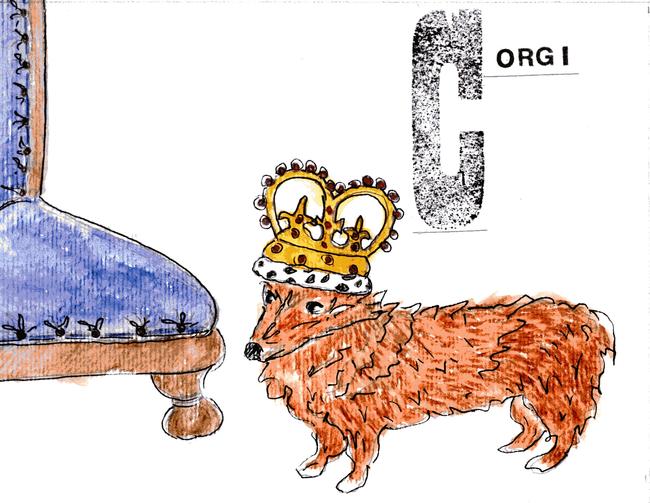 Alphabet of dogs Corgi