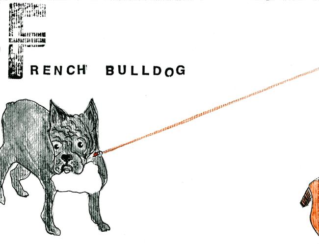 alphabet of dogs French Bulldog