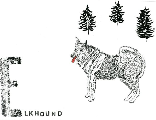 alphabet of dogs Elkhound