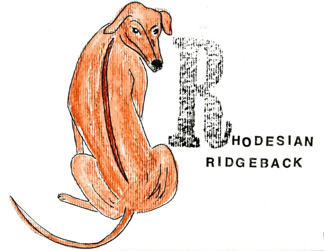 alphabet of dogs Rhodesian Ridgeback