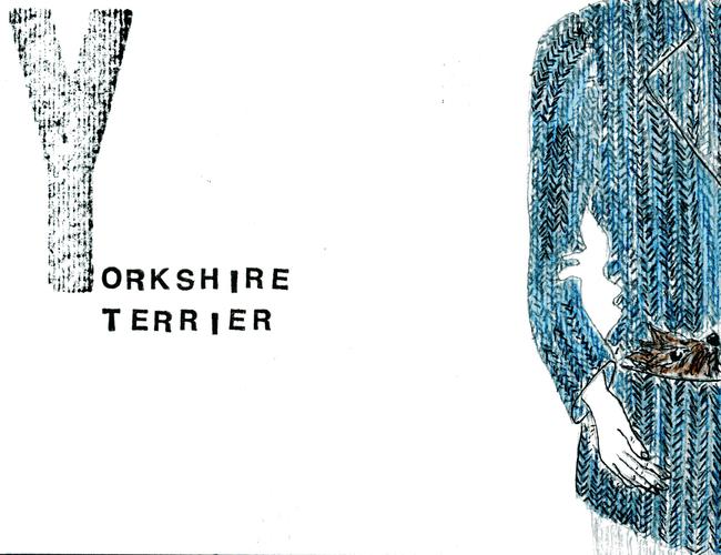alphabet of dogs Yorkshire Terrier