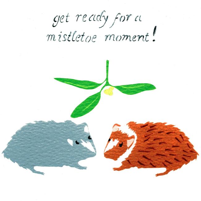 Xmas Guinea Pigs Christmas card. (code BRP 30)