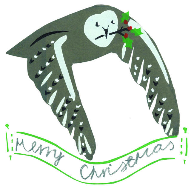 Xmas Owl Christmas card. (code BRP10)