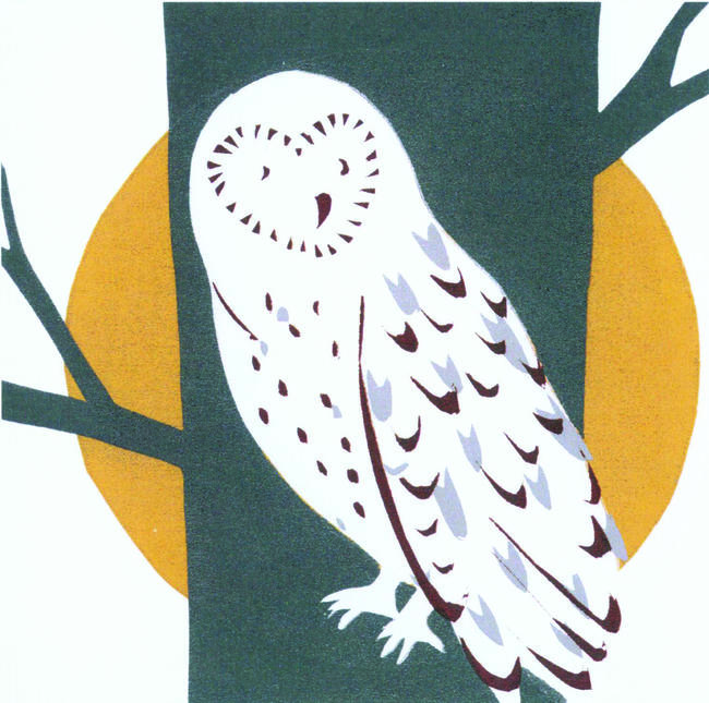 Owl (ochre) card. (Code BRP 1)