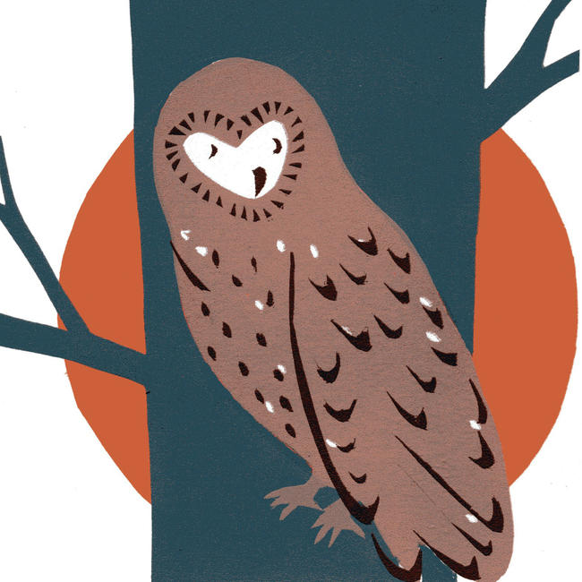 Owl (orange) card. (Code BRP 34)