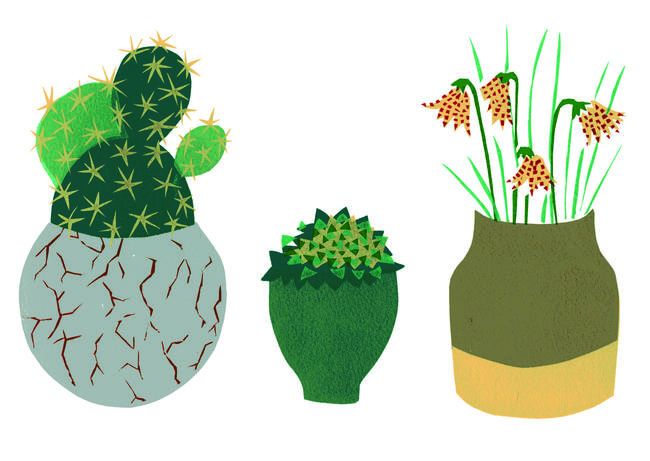 Cactus and Fritillary card (Code BRP 52)