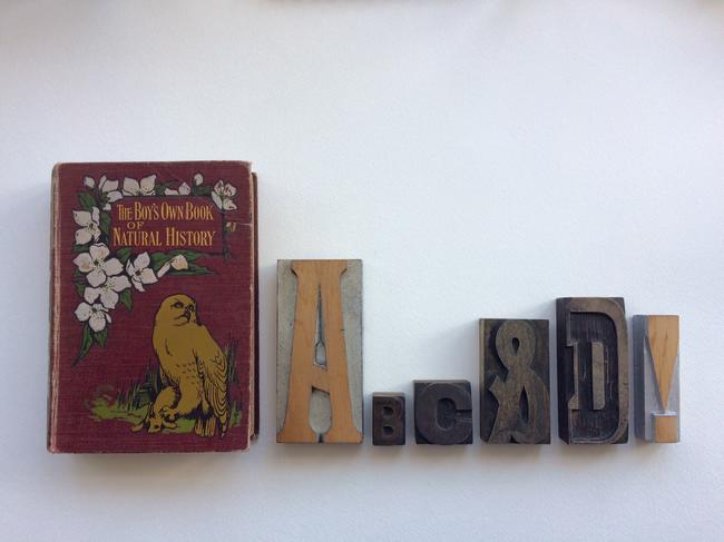 My favourite book of animal images and a small selection of wooden letters form my collection