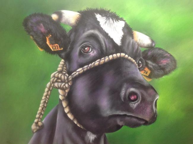 Thoughtful cow
