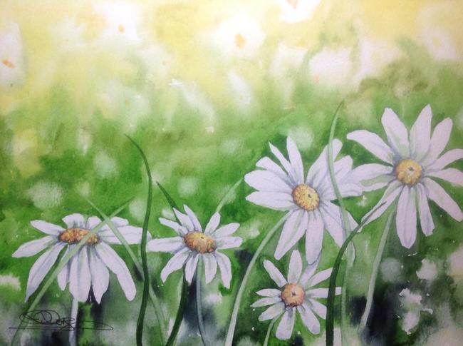 Spring Daisies