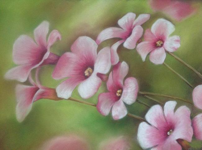 Pretty Flowers
