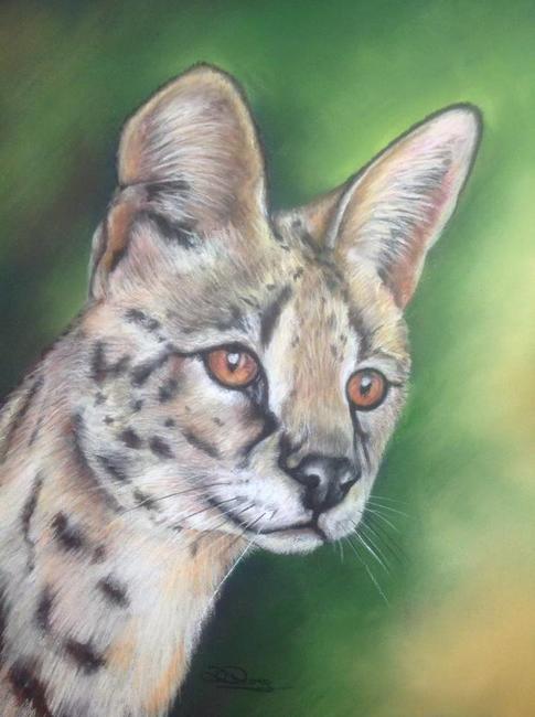 Stunning Serval
