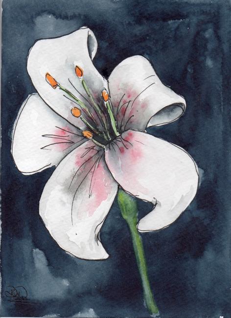 LILLY