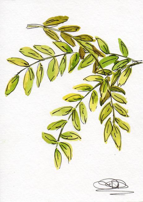 FERN