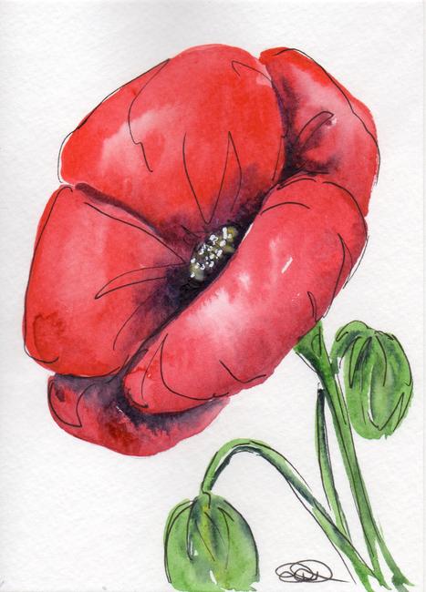Poppy 1