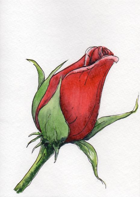 Rose Bud