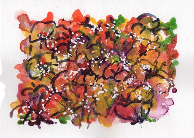 Colour Abstract