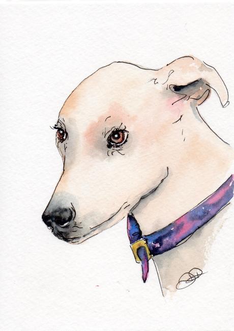Dog 1