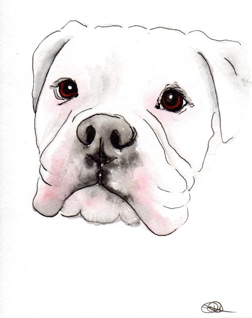 Dog 2