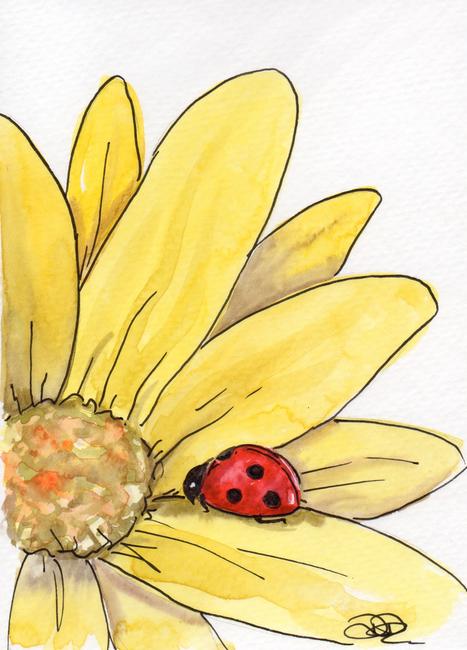 Ladybird on yellow flower