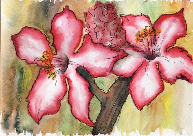 Flower study (pink)