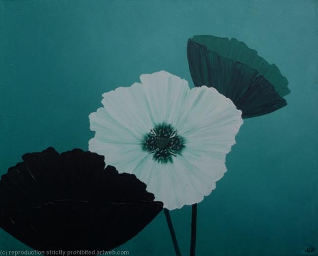 Ornamental Poppies in Teal