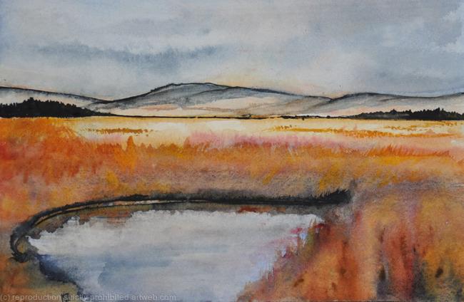 Autumn in Dumfriesshire