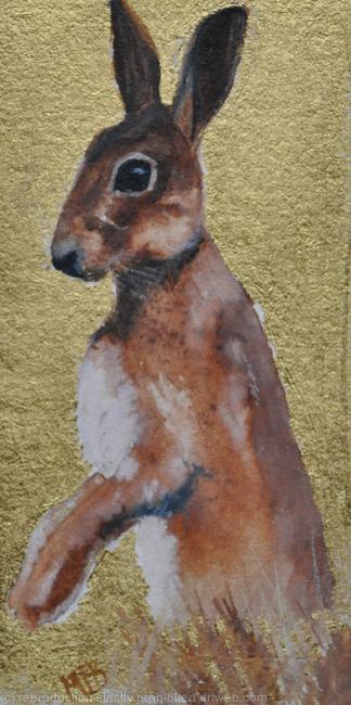 Hare