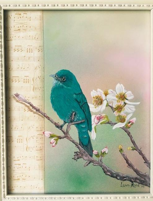 Mountain Bluebird On Almond Branch