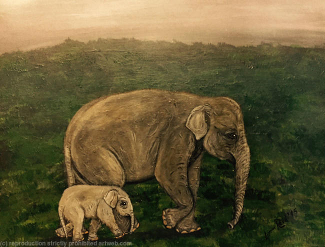 Elephants