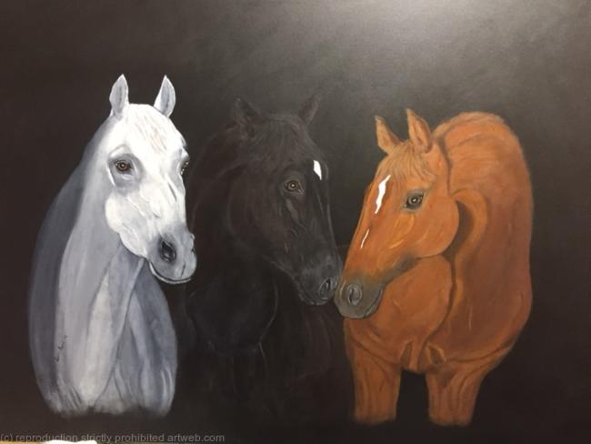 'Horse Talk'