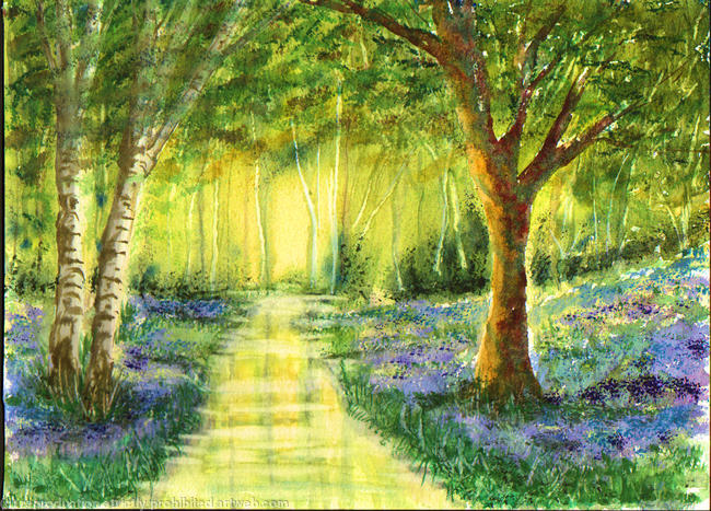 Woodland stream