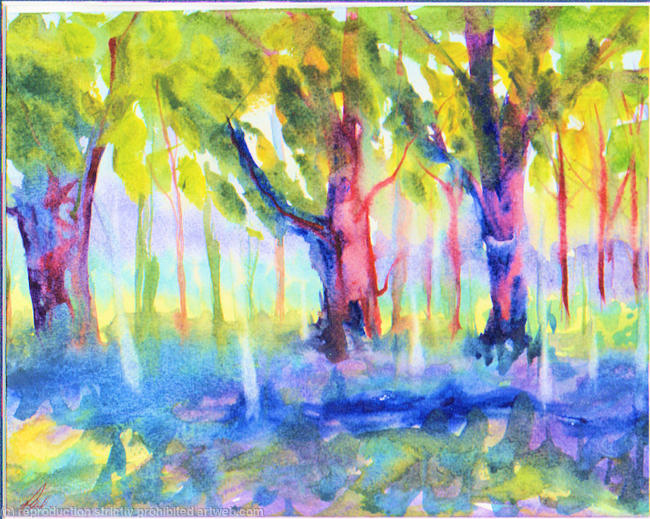 Bluebell Wood