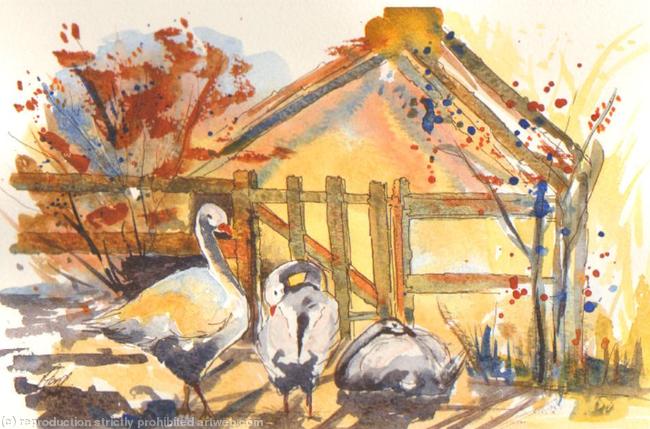 Goosey Gander