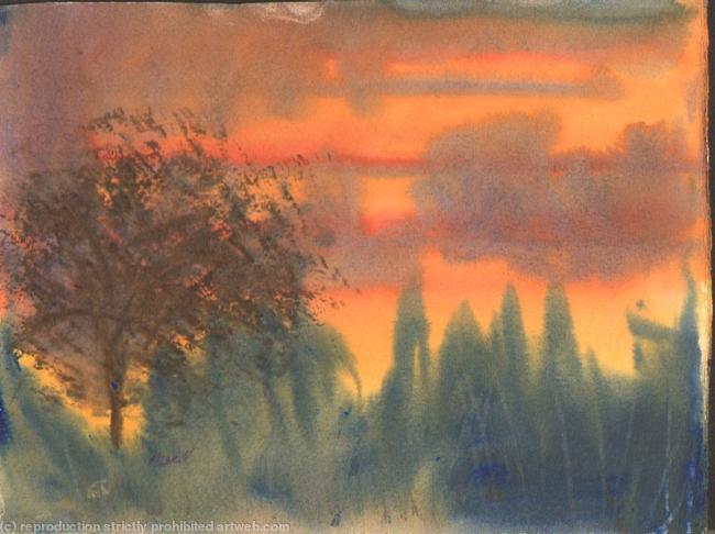 Winter sunset