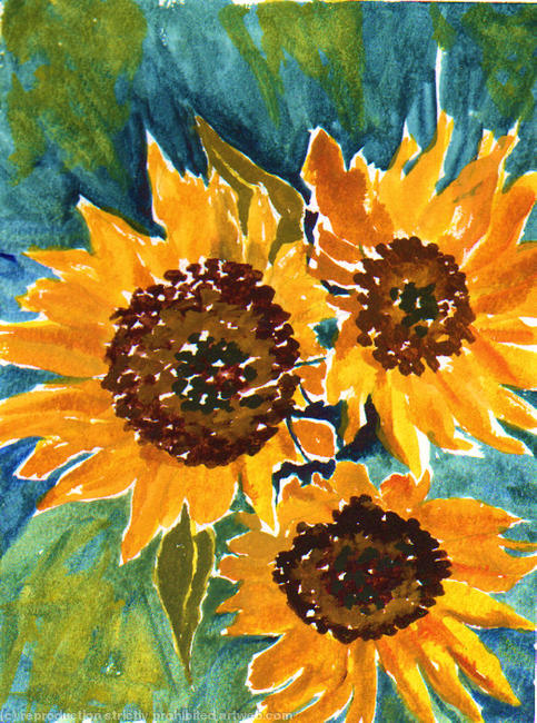 Sasllys sunflowers