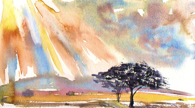 South African Bush