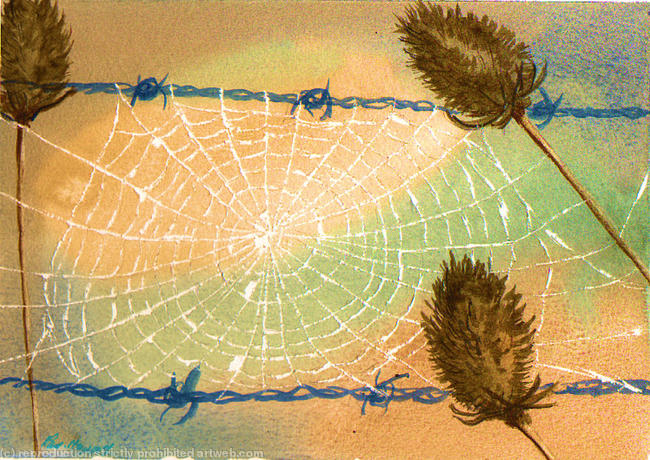 The net