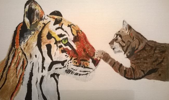 Curiosity