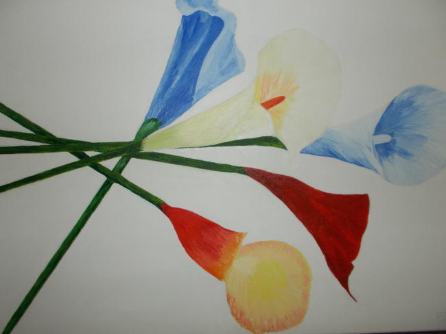 Calla Lilies
